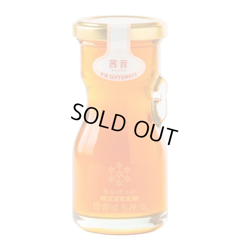 画像7: 【全7回 2142年5月発送開始】しぼりたてハチミツ頒布会(120g) (7)