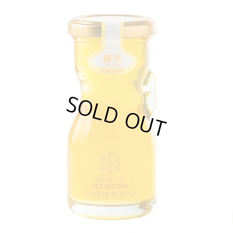 画像2: 【全7回 2142年5月発送開始】しぼりたてハチミツ頒布会(120g) (2)