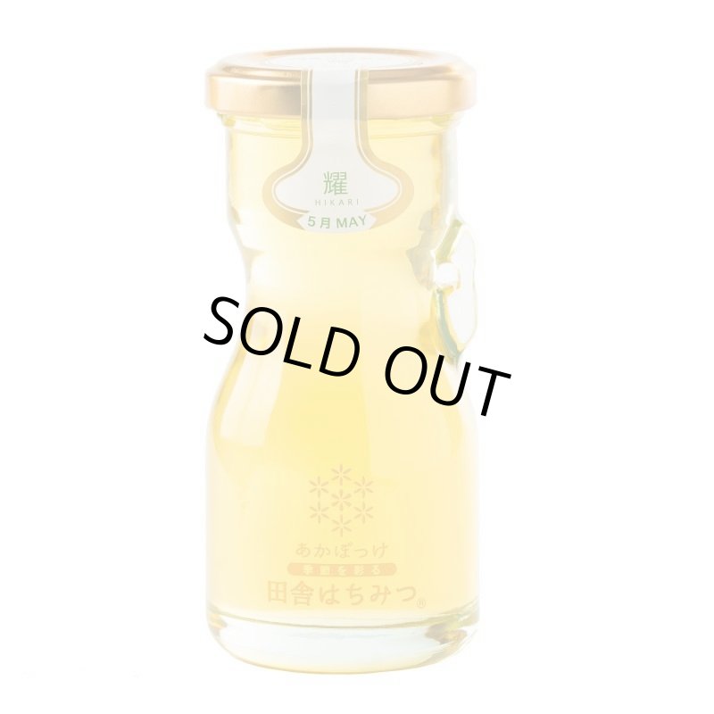 画像3: 【全7回 2142年5月発送開始】しぼりたてハチミツ頒布会(120g) (3)