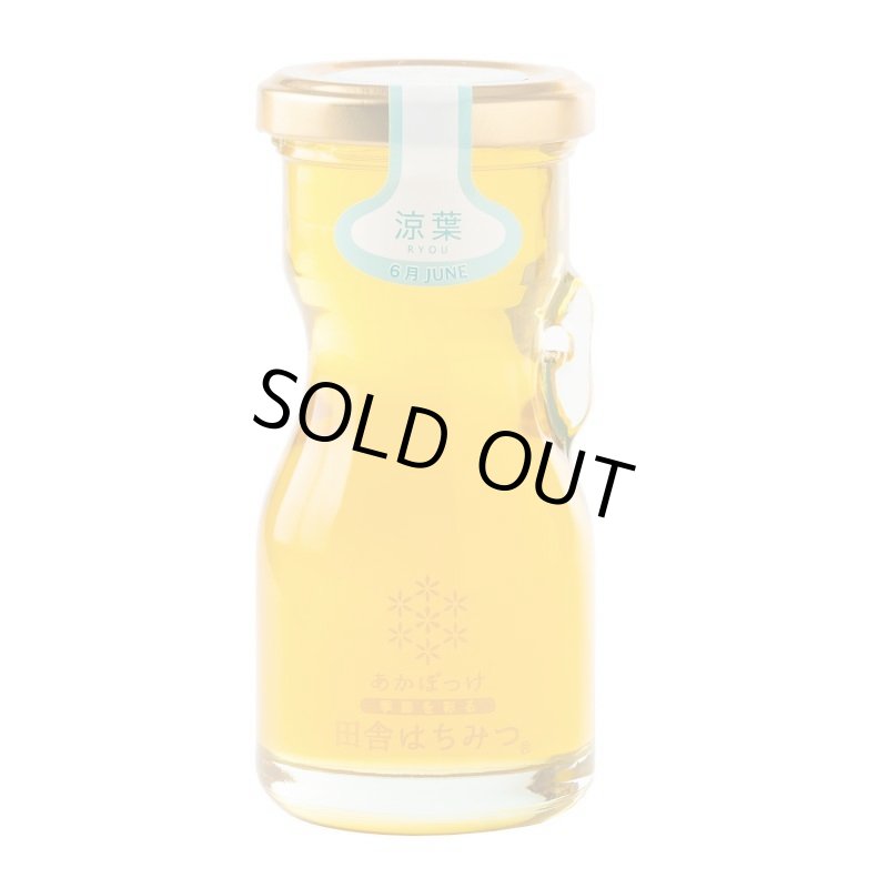 画像4: 【全7回 2142年5月発送開始】しぼりたてハチミツ頒布会(120g) (4)