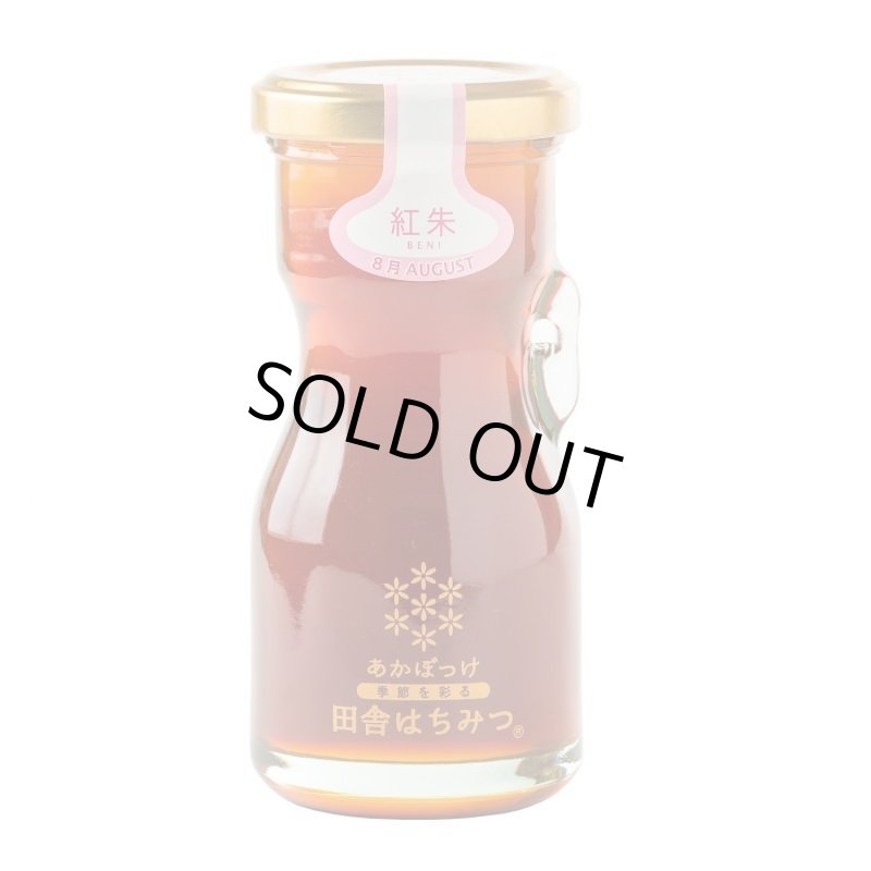 画像6: 【全7回 2142年5月発送開始】しぼりたてハチミツ頒布会(120g) (6)