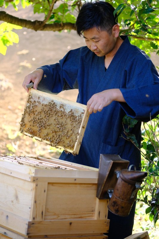 画像3: はちみつのお酒　Honeyversary (3)