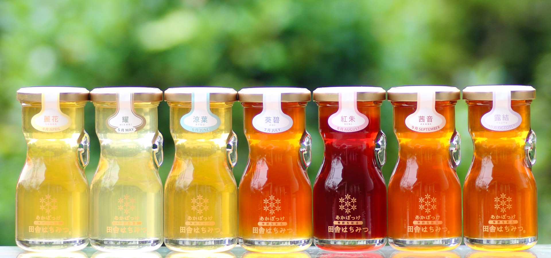 七彩のはちみつ