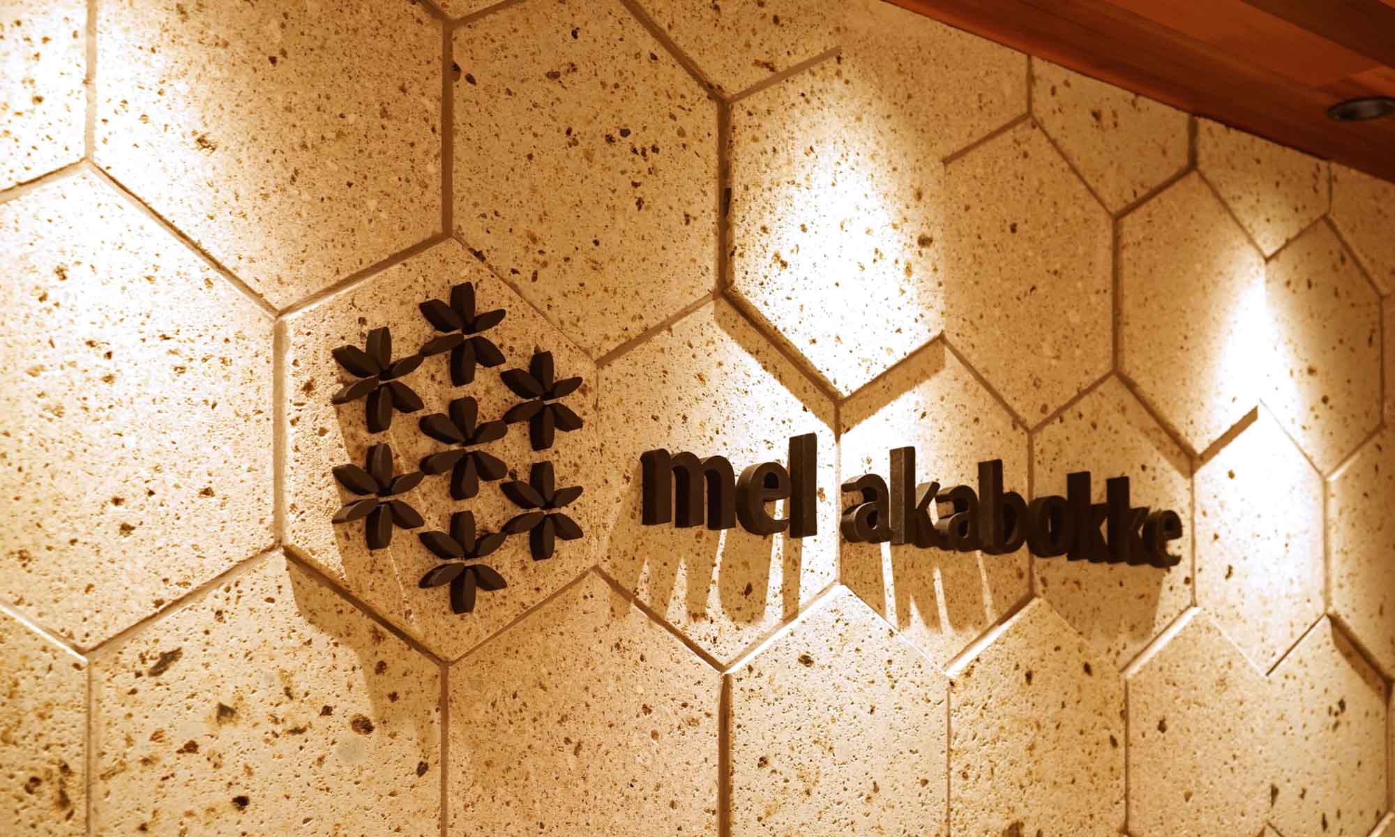 大谷石の六角タイルとロゴ