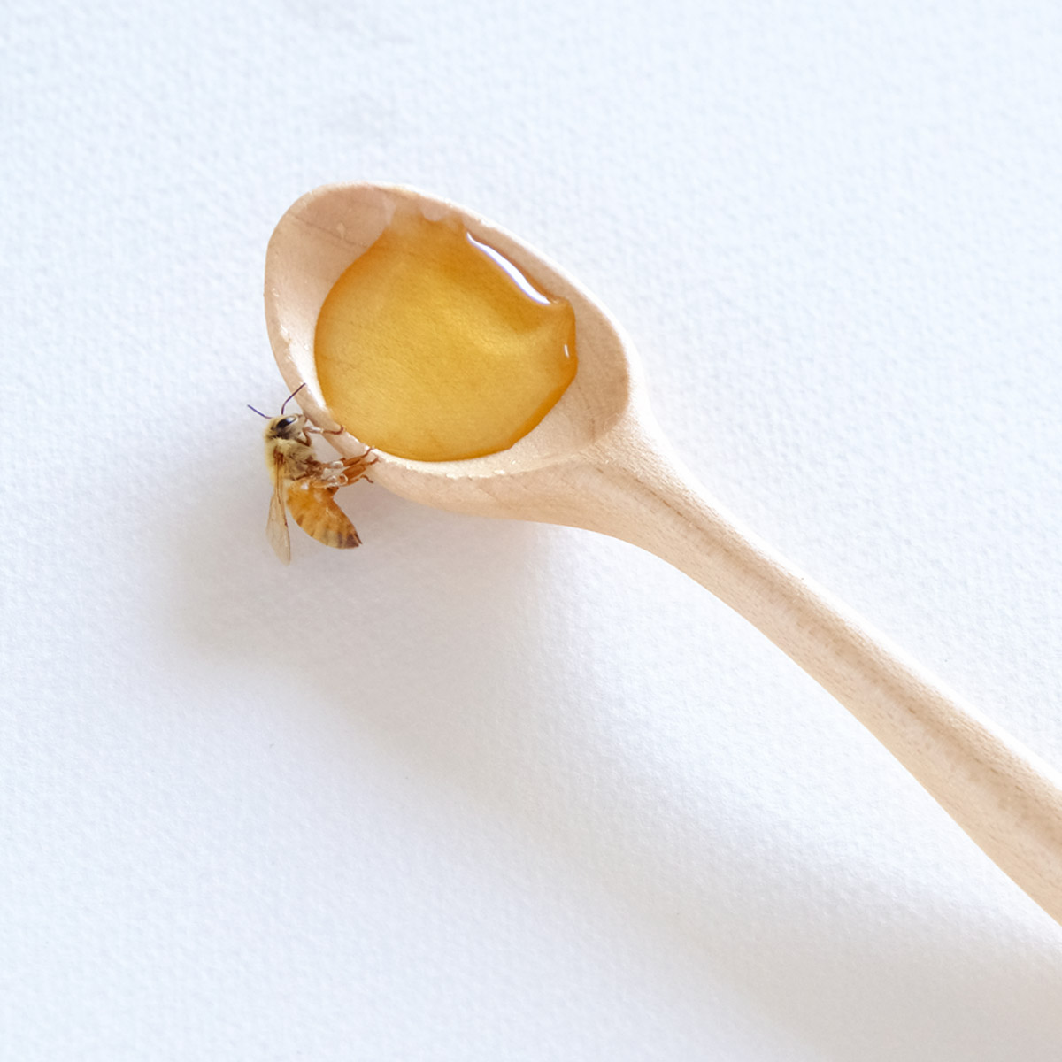 スプーンとはちみつ